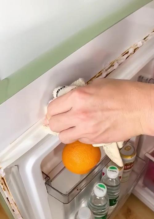 如何清洗发霉的冰箱门（轻松应对冰箱门发霉问题）