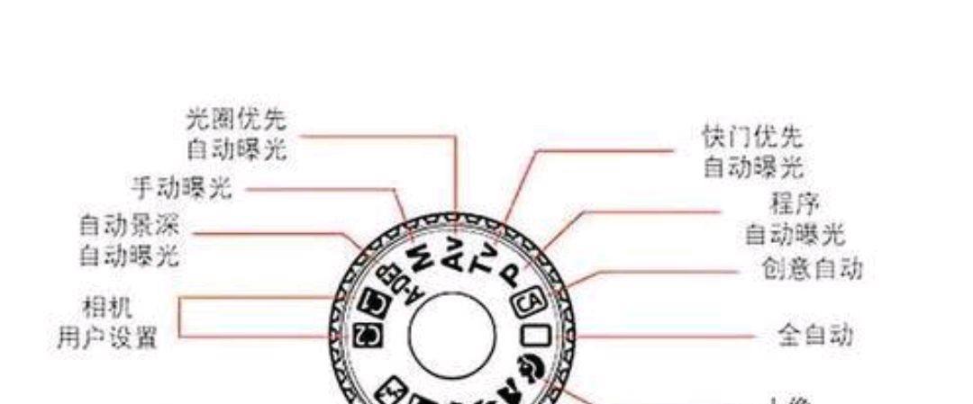 快速学会电脑基础知识（掌握电脑基础知识的关键技巧）